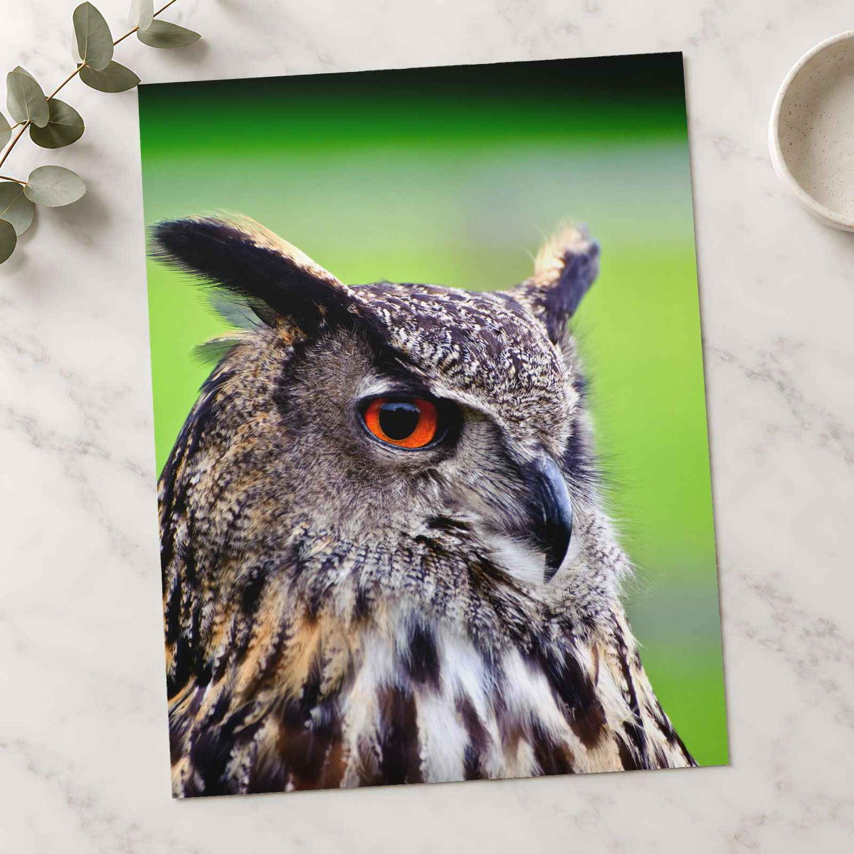 Beautiful European Eagle Owl Photography Print (7 Sizes) - Satin Luster
