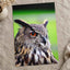 Beautiful European Eagle Owl Photography Print (7 Sizes) - Satin Luster