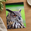 Beautiful European Eagle Owl Photography Print (7 Sizes) - Satin Luster