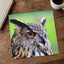 Beautiful European Eagle Owl Photography Print (7 Sizes) - Satin Luster
