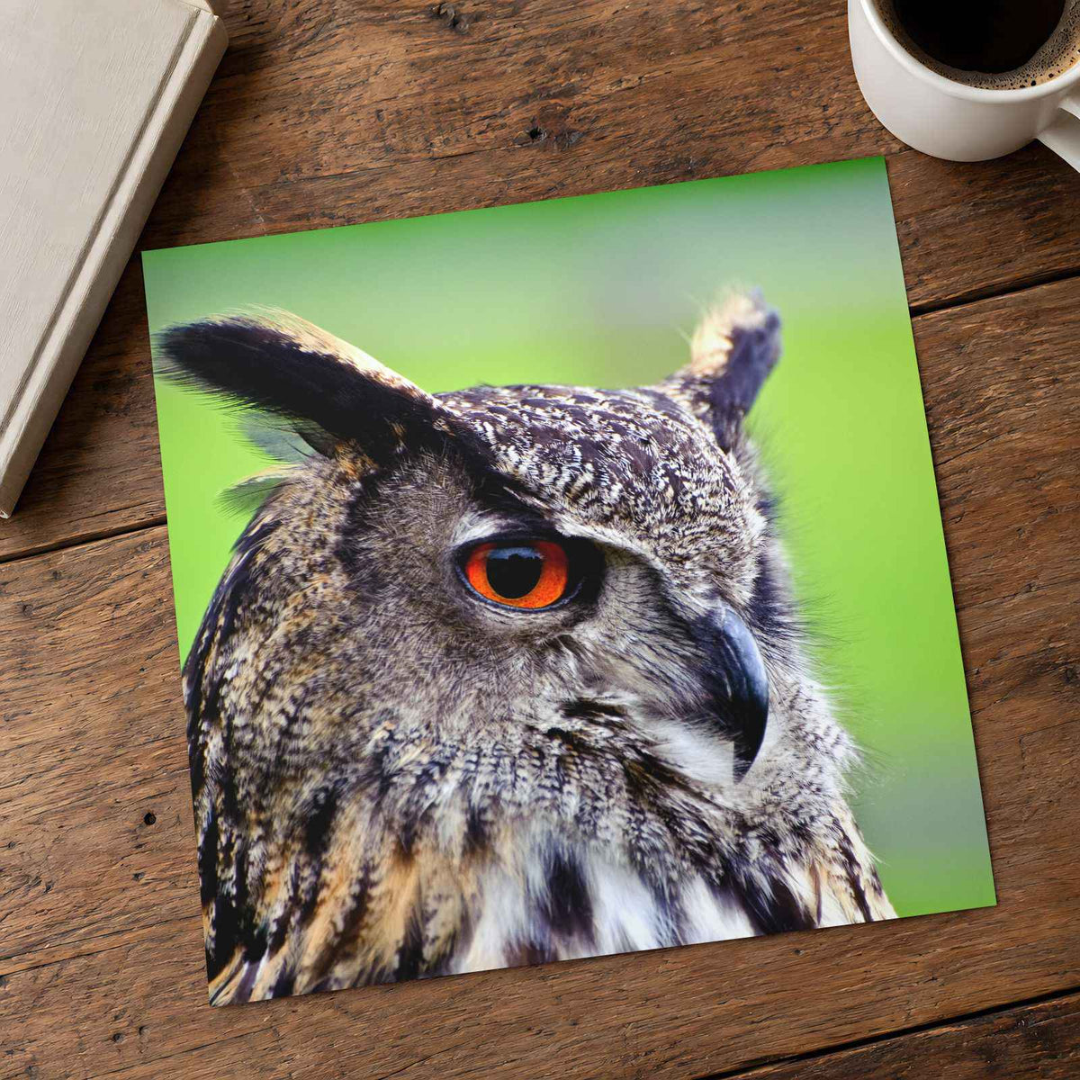 Beautiful European Eagle Owl Photography Print (7 Sizes) - Satin Luster