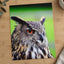 Beautiful European Eagle Owl Photography Print (7 Sizes) - Satin Luster