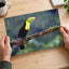 Toucan Sitting on Branch in Rain Photographic Art Print (7 Sizes)