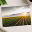 Open Corn Field at Sunset Photography Print (4 Sizes) - Premium Quality