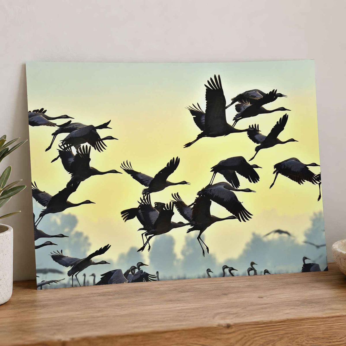 Flock of Cranes Flying Against Yellow Sky Photo Print (7 Sizes) - Printed in USA