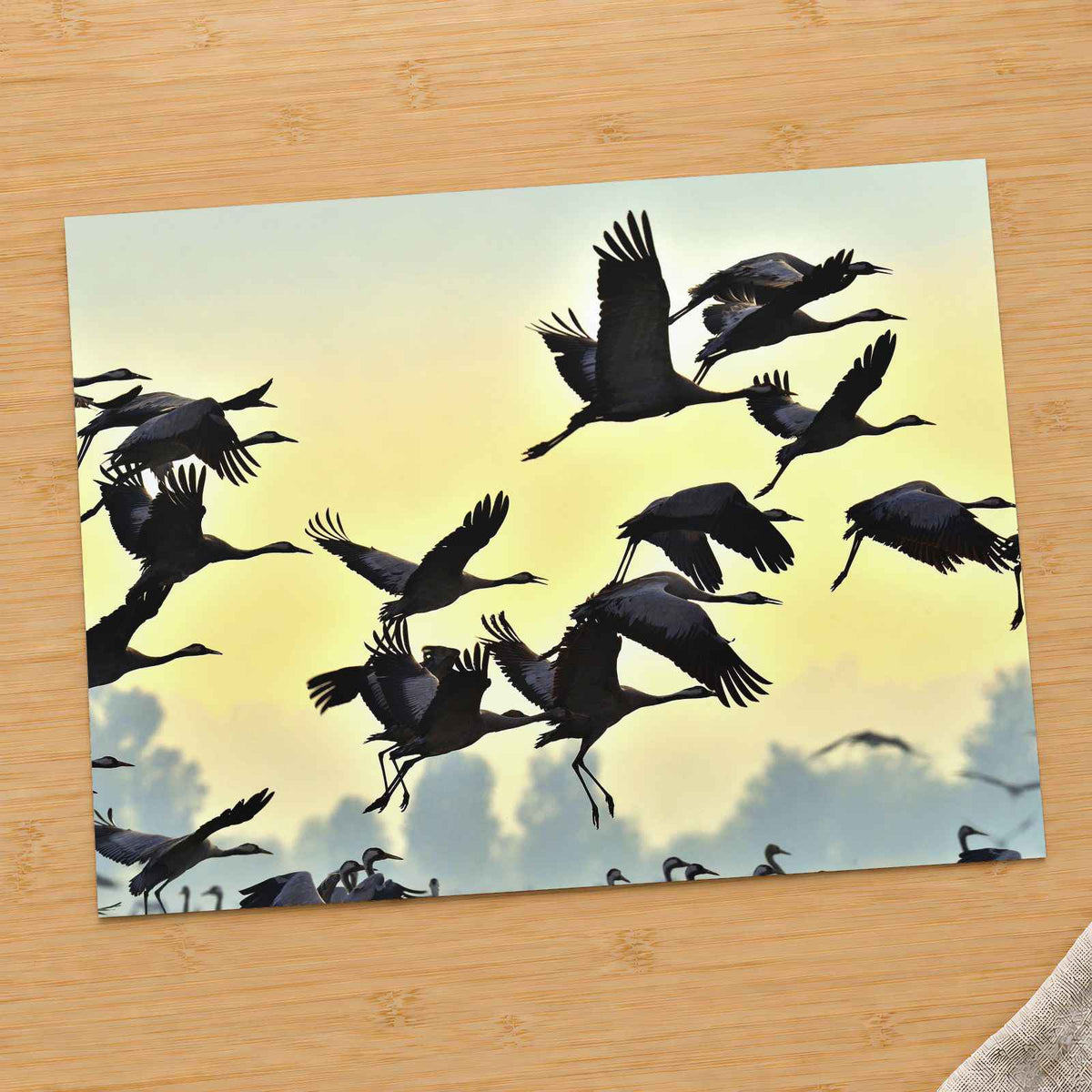 Flock of Cranes Flying Against Yellow Sky Photo Print (7 Sizes) - Printed in USA