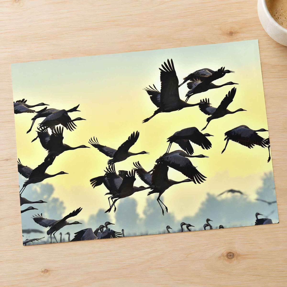 Flock of Cranes Flying Against Yellow Sky Photo Print (7 Sizes) - Printed in USA