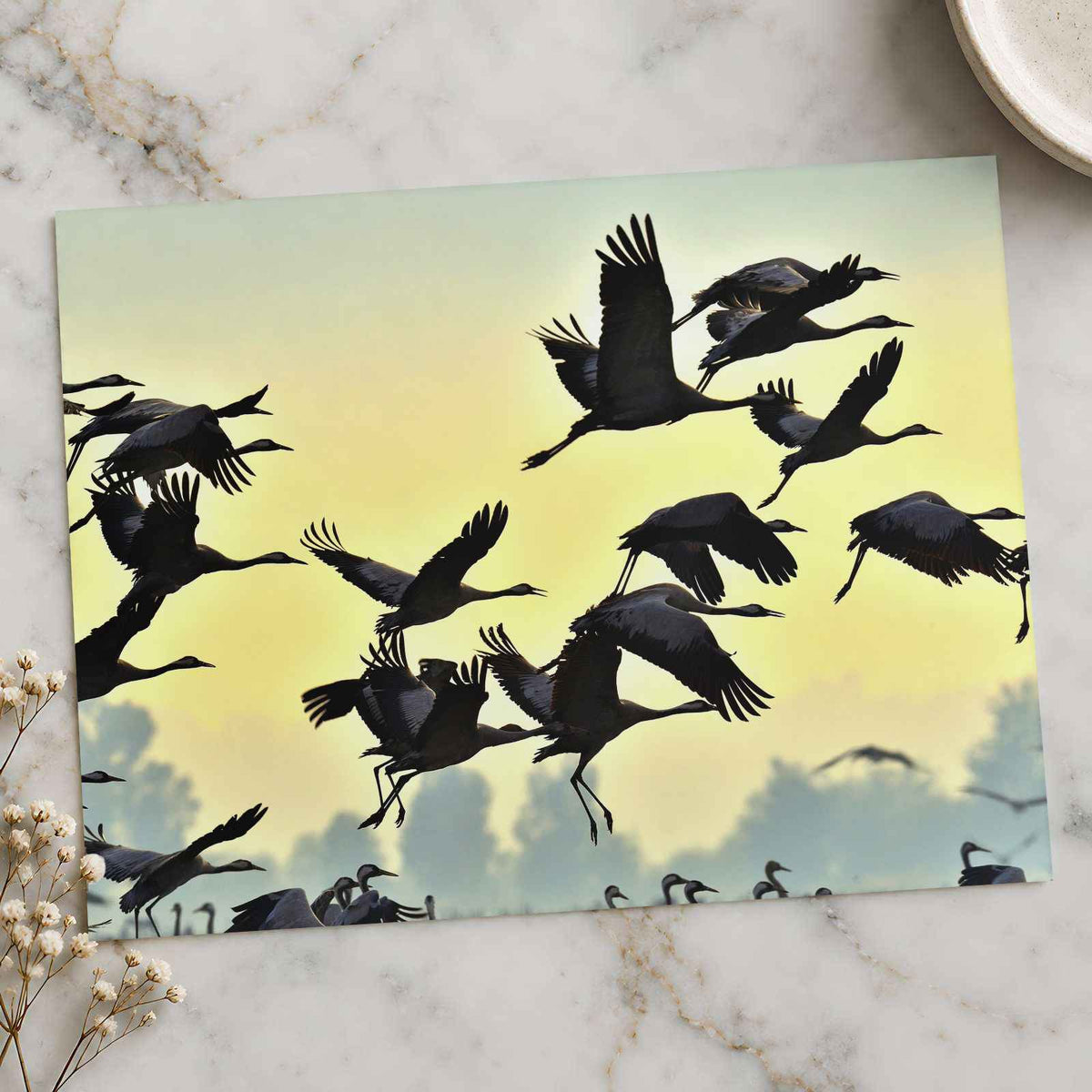 Flock of Cranes Flying Against Yellow Sky Photo Print Wall Decor