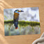 Colorful Toucan Perched on Moss Branch Photo Wall Art (7 Sizes) - High Quality