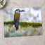 Colorful Toucan Perched on Moss Branch Photo Wall Art (7 Sizes) - High Quality