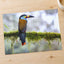 Colorful Toucan Perched on Moss Branch Photo Wall Art (7 Sizes) - High Quality