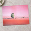 Sparrow Sitting on Barbed Wire Photo Print (7 Sizes) - Satin Luster