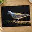 White and Gray Bird Pigeon on Log Photographic Art Print (7 Sizes) - Heavyweight