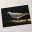 White and Gray Bird Pigeon on Log Photographic Art Print (7 Sizes) - Heavyweight