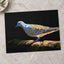 White and Gray Bird Pigeon on Log Photographic Art Print (7 Sizes) - Heavyweight