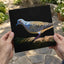 White and Gray Bird Pigeon on Log Photographic Art Print (7 Sizes) - Heavyweight