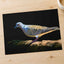 White and Gray Bird Pigeon on Log Photographic Art Print (7 Sizes) - Heavyweight