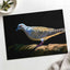 White and Gray Bird Pigeon on Log by Zdeněk Macháček Photo Print Wall Decor