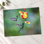 Two Hummingbirds Feeding Photographic Art Print (7 Sizes) - Frameable