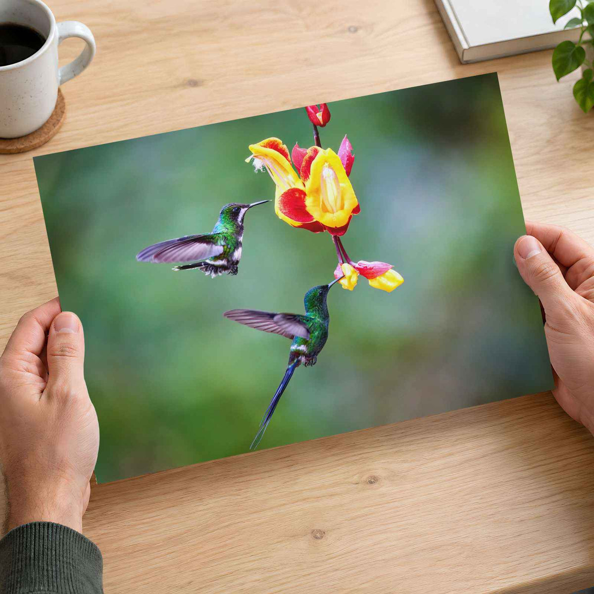 Two Hummingbirds Feeding Photographic Art Print (7 Sizes) - Frameable