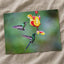 Two Hummingbirds Feeding by Zdeněk Macháček Photo Print Wall Decor