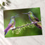 Couple of Hummingbirds Sitting on Tree Branch Photography Print (7 Sizes)