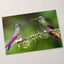Couple of Hummingbirds Sitting on Tree Branch Photography Print (7 Sizes)