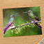 Couple of Hummingbirds Sitting on Tree Branch by Zdeněk Macháček Photo Print Wall Decor