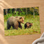 Mother Bear Walking in with Its Small Cubs Photo Wall Art (7 Sizes) - Frameable