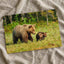 Mother Bear Walking in with Its Small Cubs Photo Wall Art (7 Sizes) - Frameable