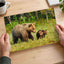 Mother Bear Walking in with Its Small Cubs Photo Wall Art (7 Sizes) - Frameable