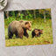 Mother Bear Walking in with Its Small Cubs Photo Print Wall Decor