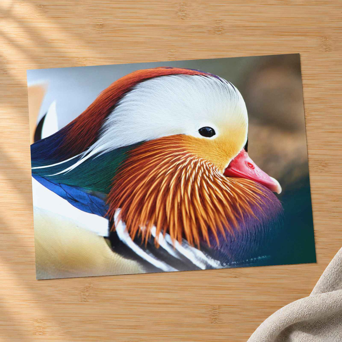 Close Up of Colorful Duck Photographic Art Print (7 Sizes) - Premium Quality