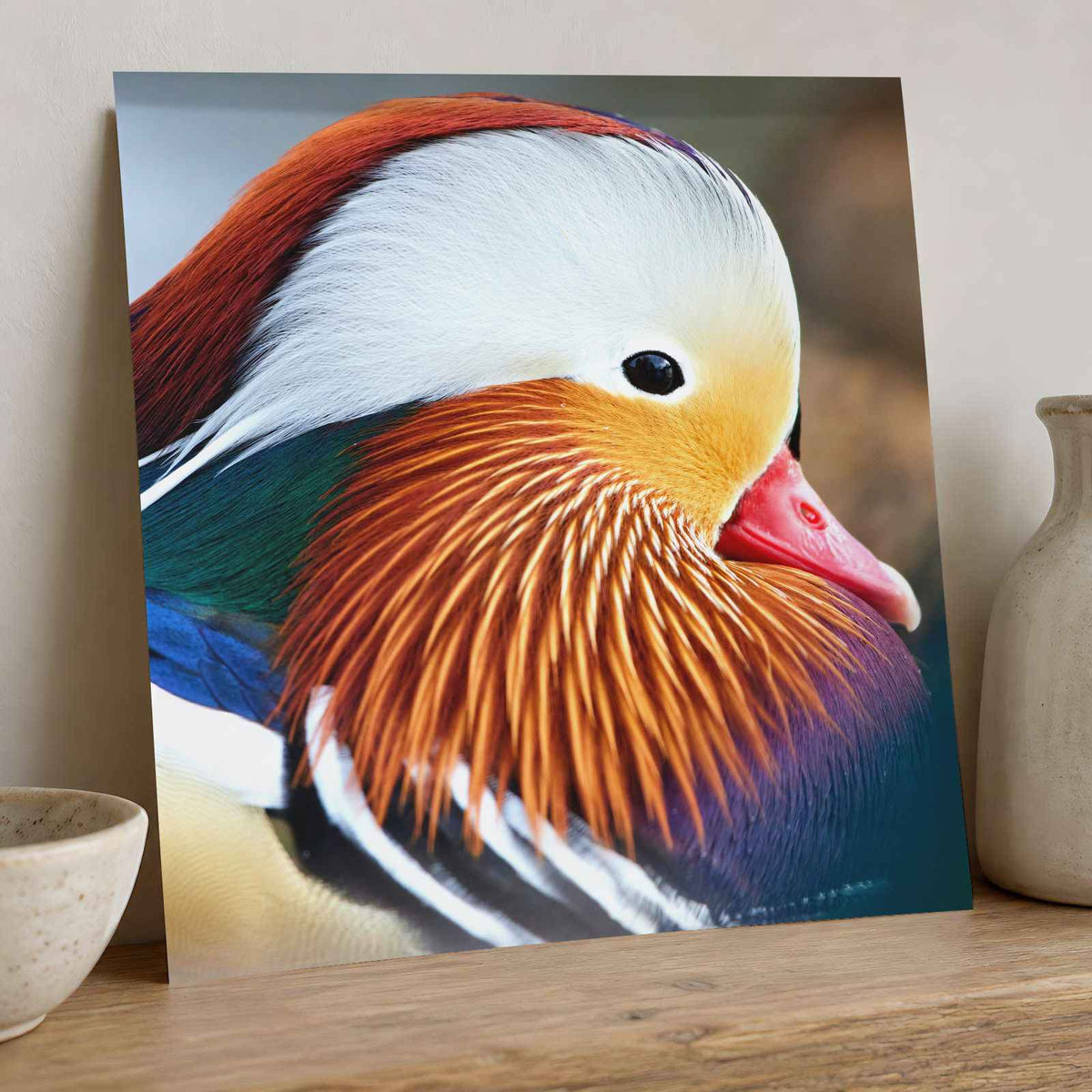 Close Up of Colorful Duck Photographic Art Print (7 Sizes) - Premium Quality