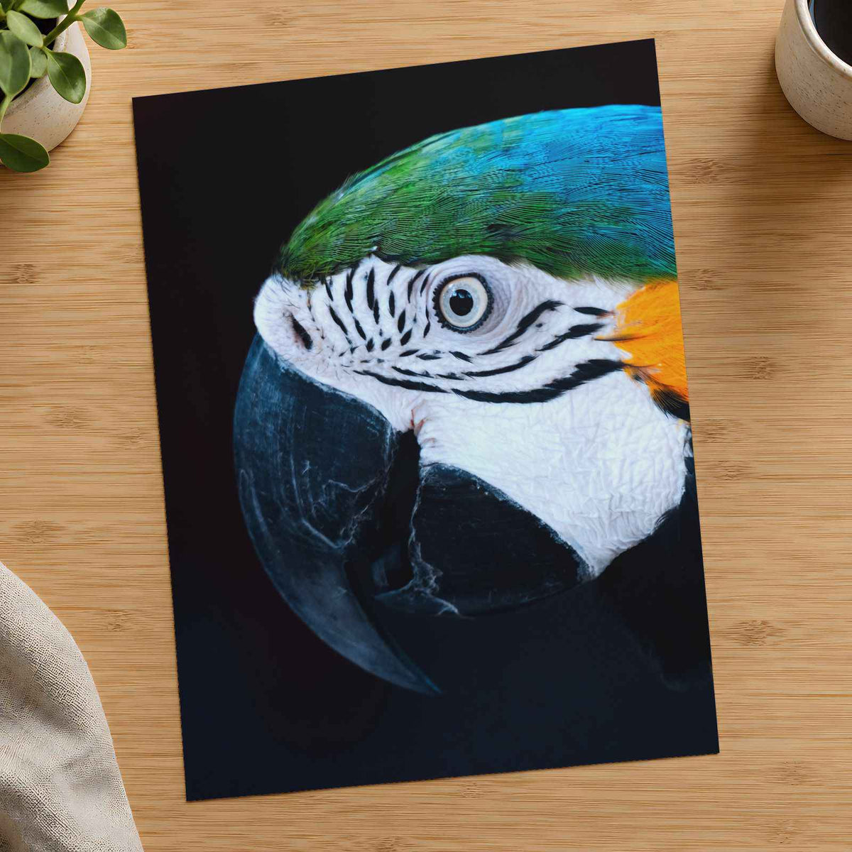 Close Up of Colorful Macaw Parrot Photography Print (7 Sizes) - Premium Quality