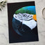Close Up of Colorful Macaw Parrot Photography Print (7 Sizes) - Premium Quality
