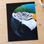 Close Up of Colorful Macaw Parrot Photography Print (7 Sizes) - Premium Quality