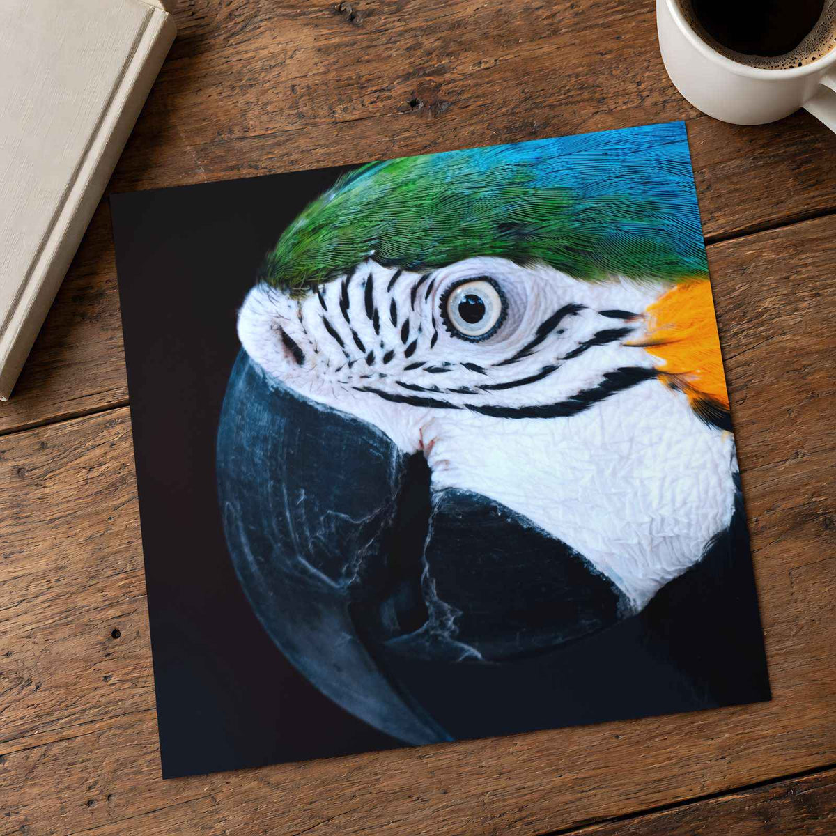 Close Up of Colorful Macaw Parrot Photography Print (7 Sizes) - Premium Quality