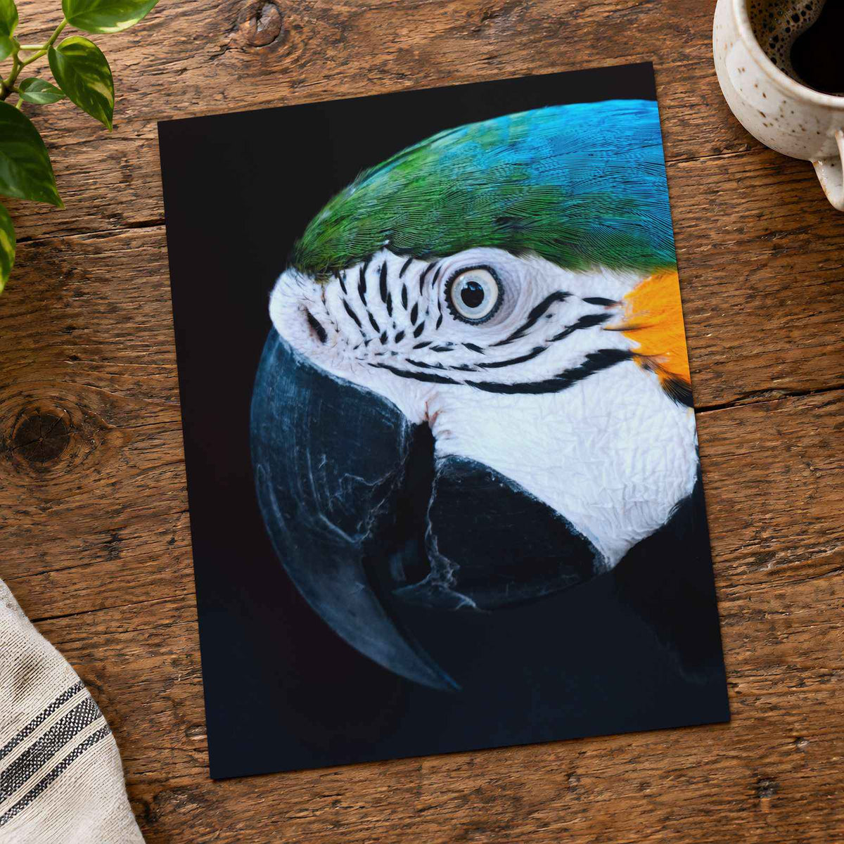 Close Up of Colorful Macaw Parrot by George Dagerotip Photo Print Wall Decor