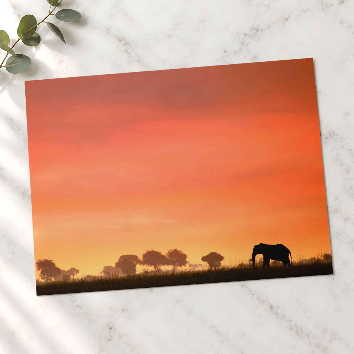 Elephant Silhouette at Sunset Photo Print (7 Sizes) - High Quality