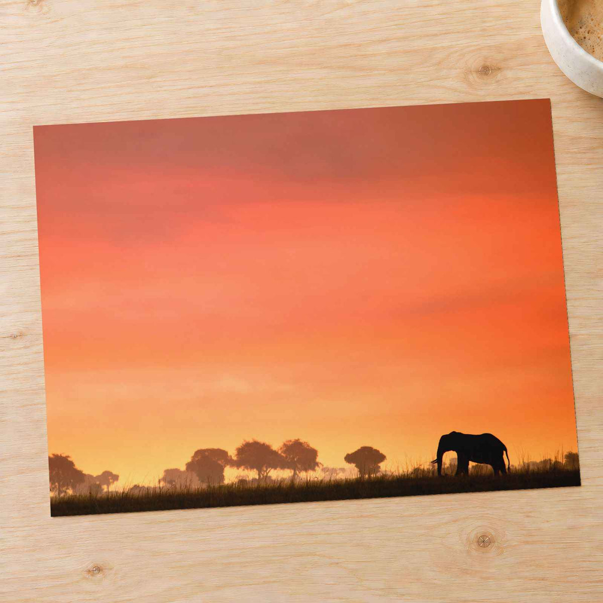 Elephant Silhouette at Sunset Photo Print (7 Sizes) - High Quality