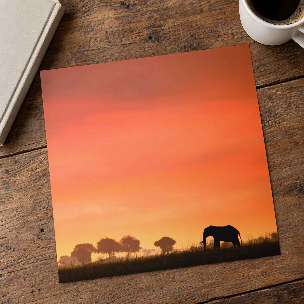 Elephant Silhouette at Sunset Photo Print (7 Sizes) - High Quality