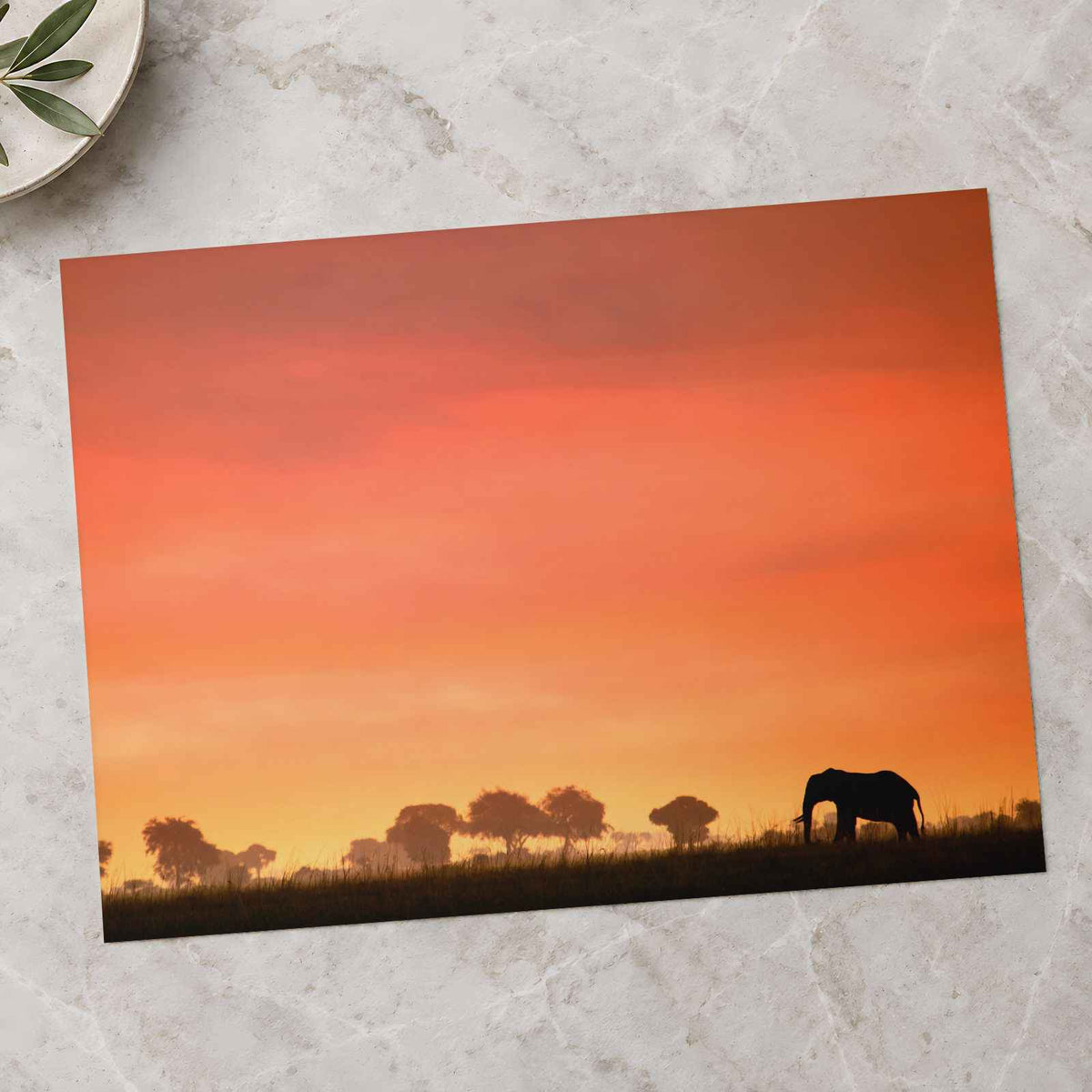 Elephant Silhouette at Sunset Photo Print (7 Sizes) - High Quality