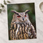 Great Horned Owl Portrait Photo Wall Print (7 Sizes) - High Quality