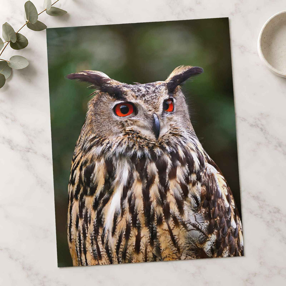 Great Horned Owl Portrait Photo Wall Print (7 Sizes) - High Quality