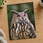 Great Horned Owl Portrait Photo Wall Print (7 Sizes) - High Quality