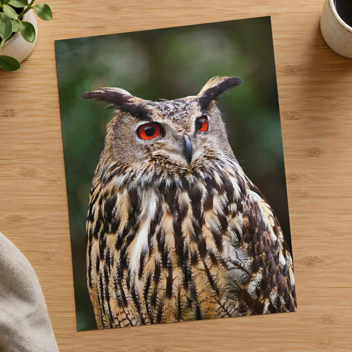 Great Horned Owl Portrait Photo Wall Print (7 Sizes) - High Quality