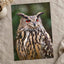 Great Horned Owl Portrait Photo Wall Print (7 Sizes) - High Quality