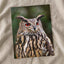 Great Horned Owl Portrait Photo Wall Print (7 Sizes) - High Quality