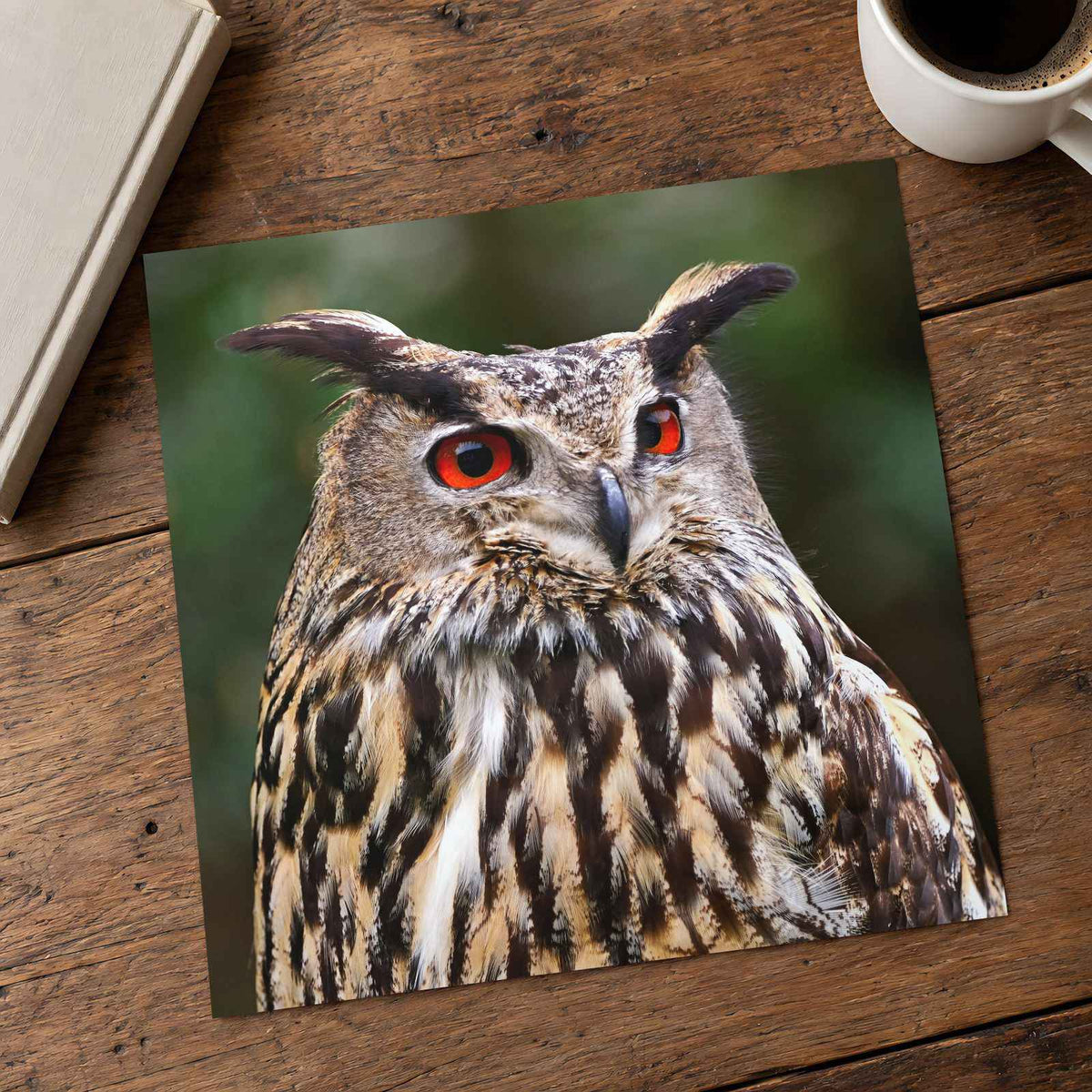 Great Horned Owl Portrait Photo Wall Print (7 Sizes) - High Quality
